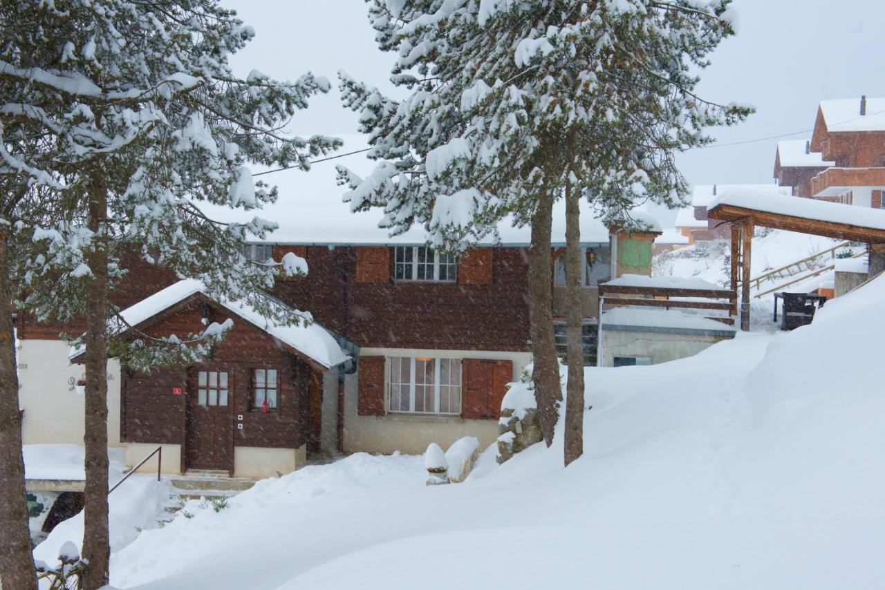 Chalet 4 Personnes Avec Sauna 레셍 외부 사진